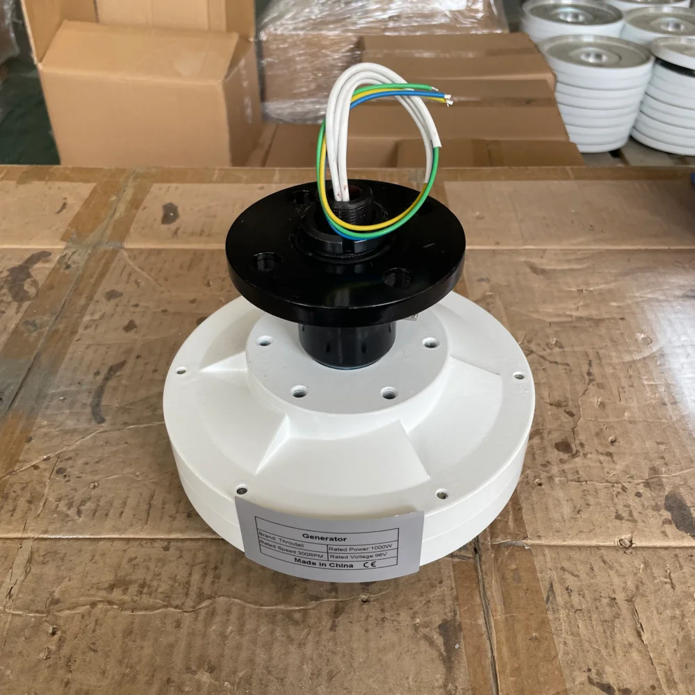 Низкоскоростной генератор 1000 Вт 96 в без сердечника редкоземельный с постоянным