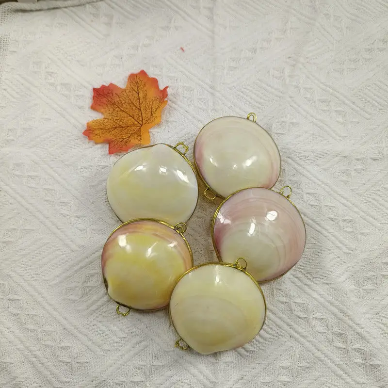 

Pure natural conch shell crafts, new shell jewelry box, coin purse, handmade small gifts in the tourist area