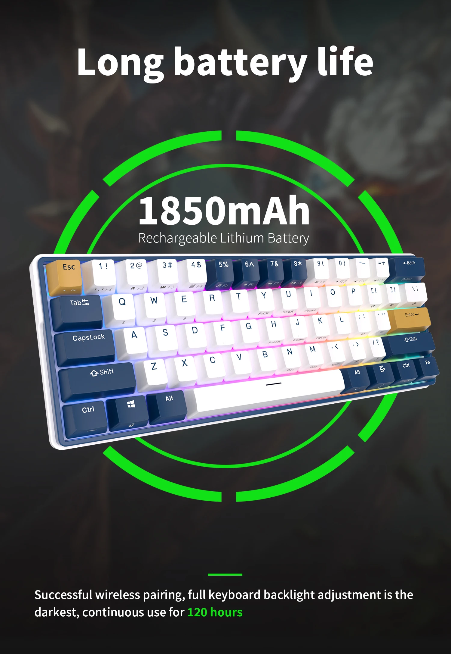 Фото RK61Plus трехмодная механическая клавиатура Wireless Горячая смена кадров RGB сподсветкой 61клавиатуры геймер Доставка из россии №4