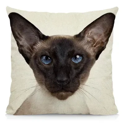 

Декоративная наволочка 45x45 см, полиэстер, кот