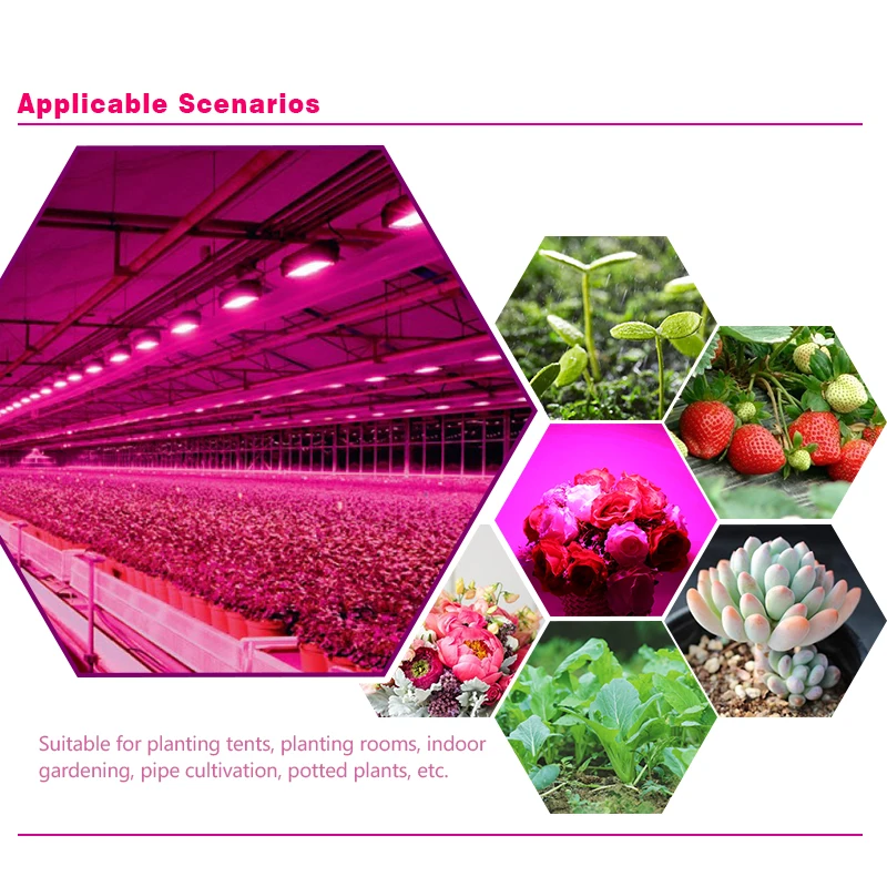 Фонарь для выращивания фотолампы 220 В 50 Вт 100