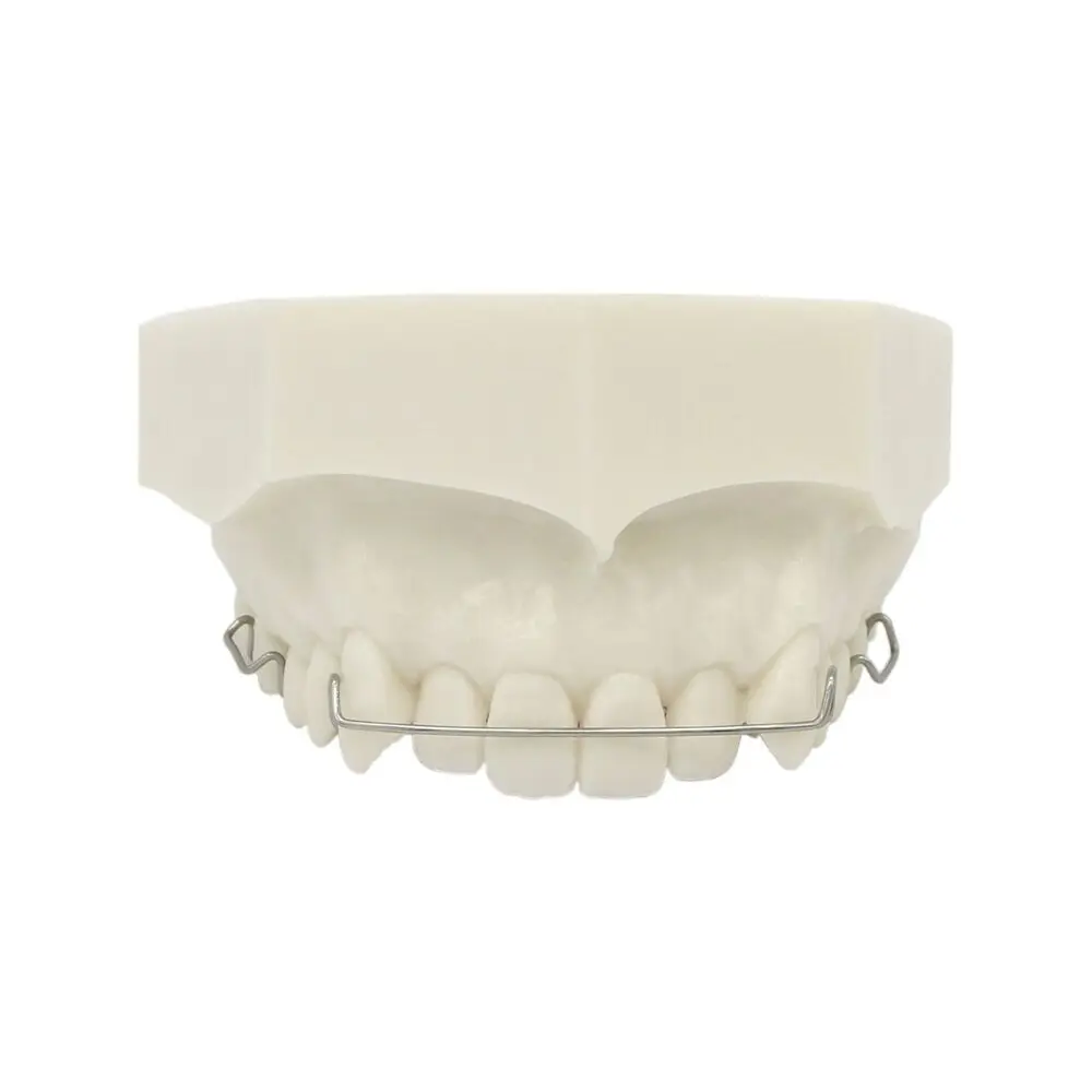 

Dental Typodont Model Hawley Retainer Orthodontic Demonstration Study Model 3007