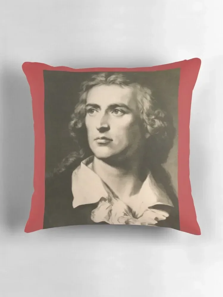 Красивый портрет Фридрих Шуллера наволочки для диванов рождественские спальные