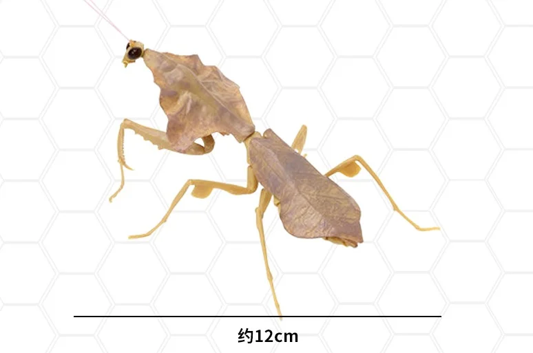 Фигурки насекомых Bandai Deroplatys Brancsikia Series02