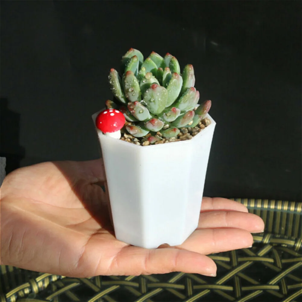 

Succulent Plant Flower Pots 10pcs 7.2 x 6.8 x 5 cm Container Patio Planter Polygon White High Quality Practical