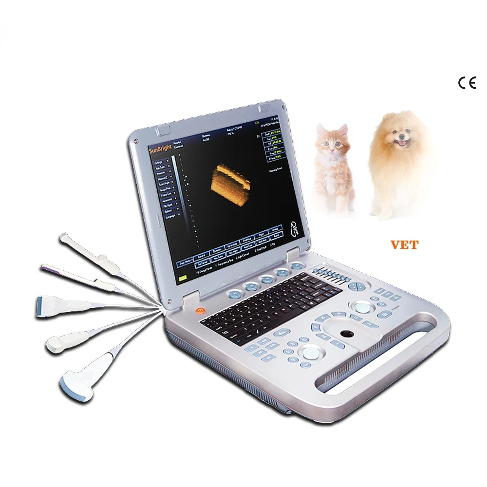 Light weight laptop portable 3D 4D usg veterinary medicine animal veterinary ultrasound portable