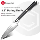 Нож для чистки овощей Sunnecko VG10, японское лезвие из дамасской стали, острый прибор для чистки фруктов, рукоятка из G10, 3,5 дюйма