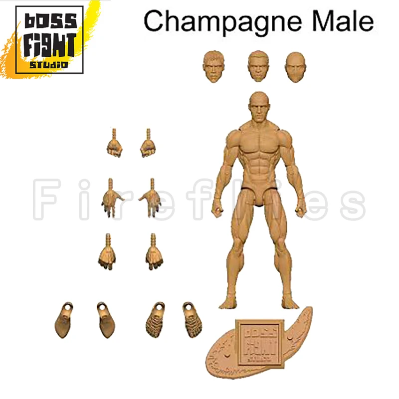 Fantasy Character Blank Male/female  Anime Collection Model Toy Free Shipping