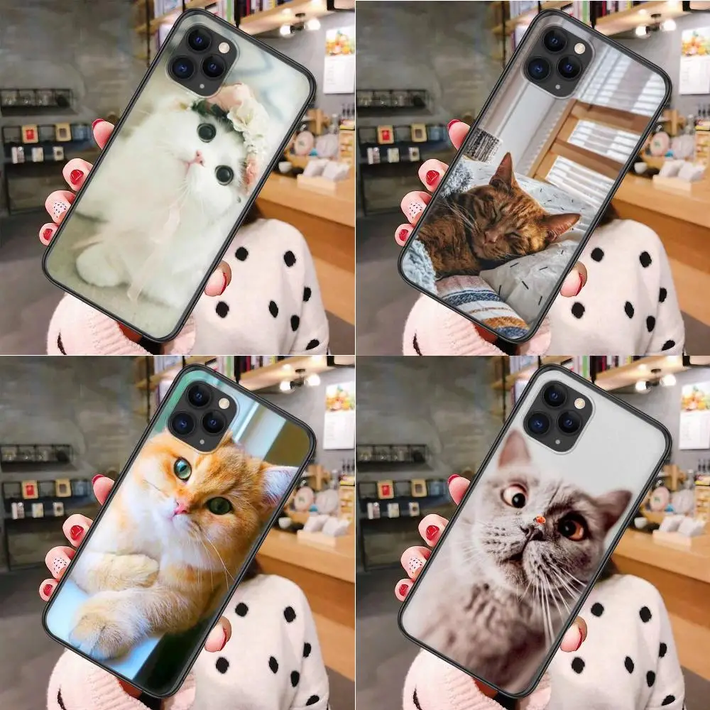 

For Galaxy J1 J2 J3 J4 J5 J6 J7 2017 2018 Core Duo Max Nxt Plus Pro Prime Cute Cat Kitten Originals Black Bumper Tpu