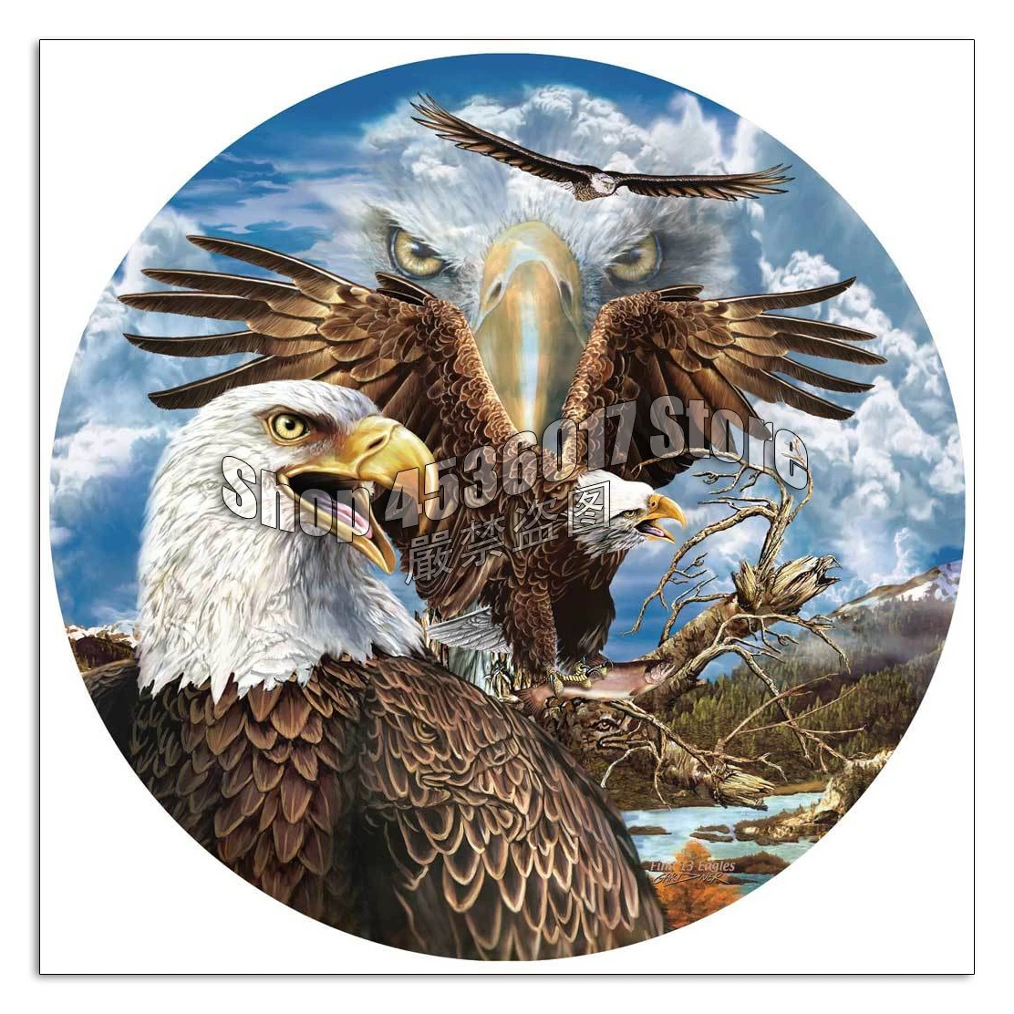 

Animals Eagles 5D DIY Diamond Painting by numbers Full Embroidery Mosaic cross stitch kits Home decoration pintura de diamante