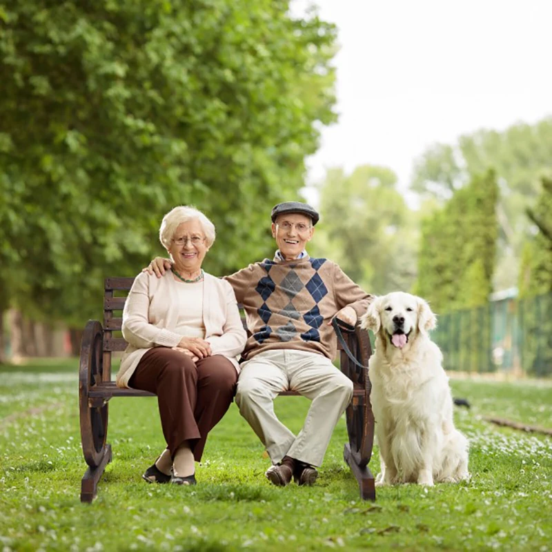 

2-местное уличное кресло с колесом, садовая скамейка, садовая скамейка, кресло для отдыха на открытом воздухе, садовые стулья