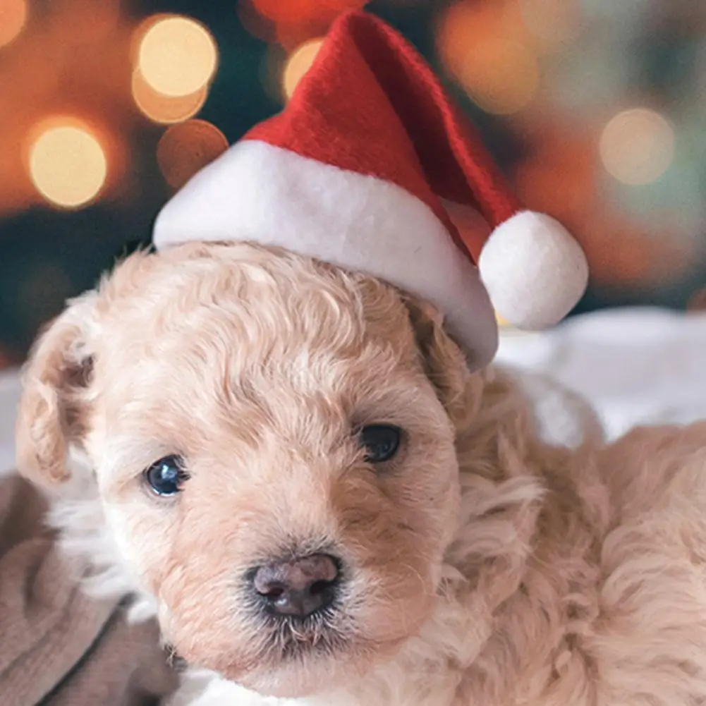 

Christmas Pet Cat Dog Santa Claus Hat Winter Warm New Year Plush Caps Party Pet Costume Xmas Home Decorations Supplies