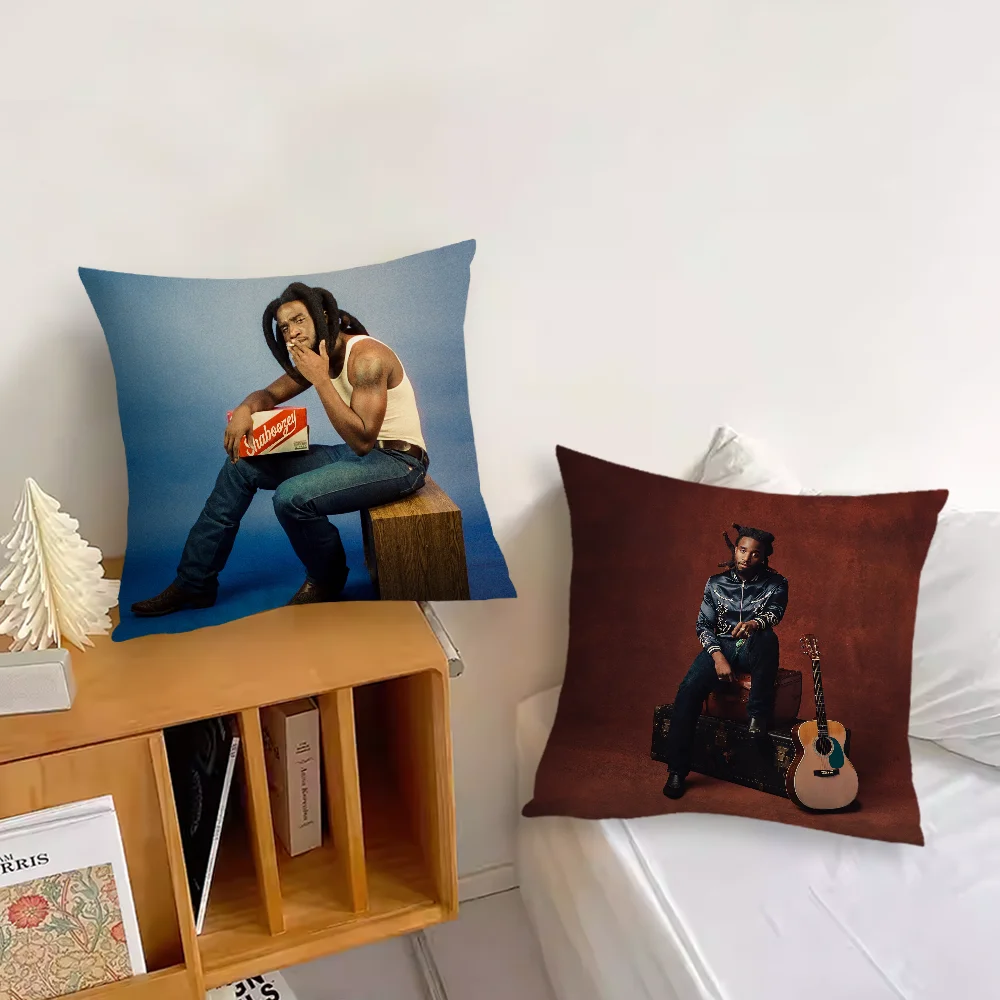 Украшение бара комнаты S-Shaboozey домашний диван песня гостиная офис певица