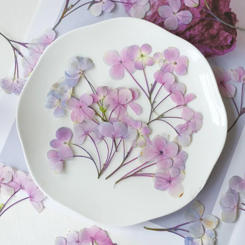 6-9 см/12 шт. прессованные гортензии сушеные цветы сделай сам настоящие листья