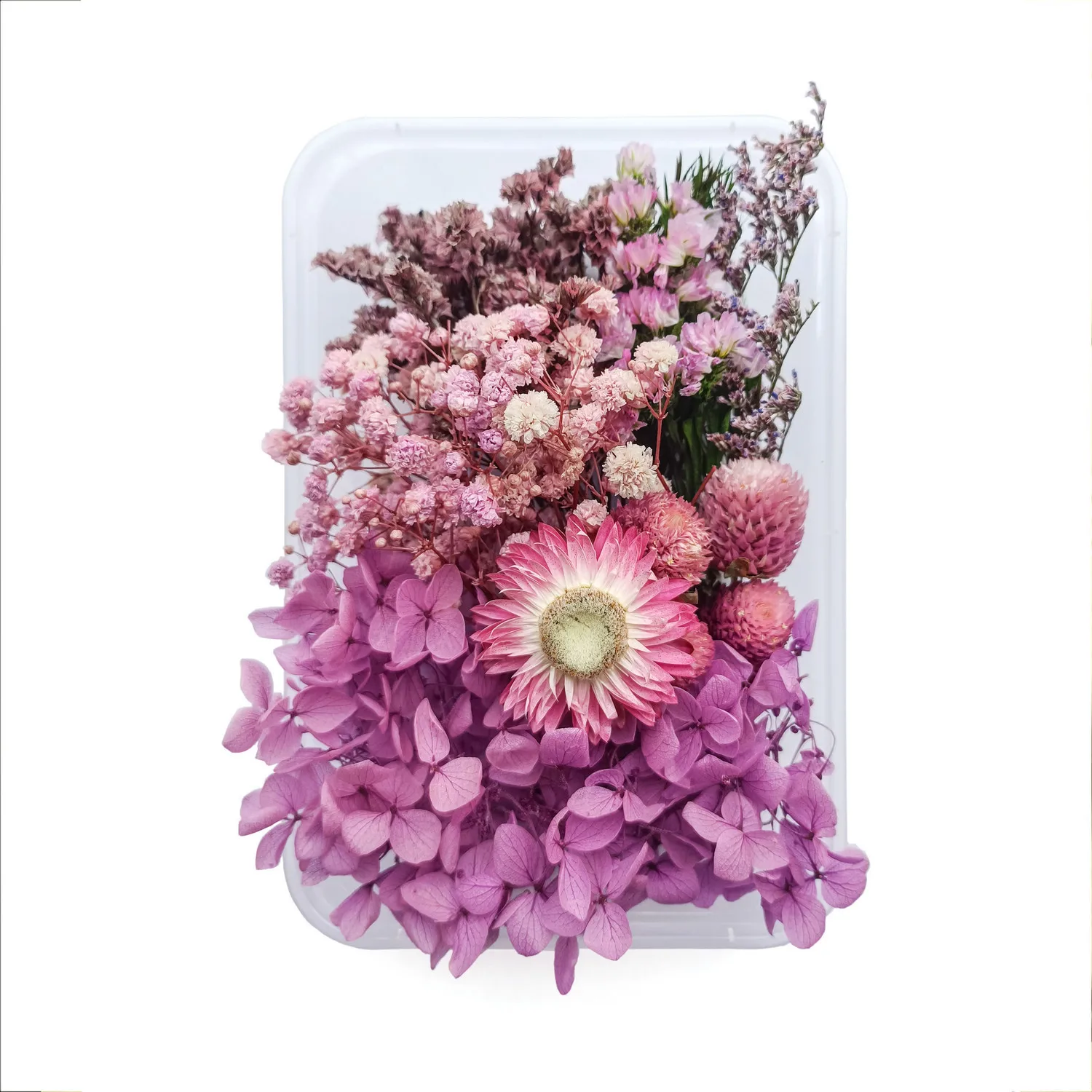 Настоящие натуральные сухие цветы для изготовления искусственной свечи