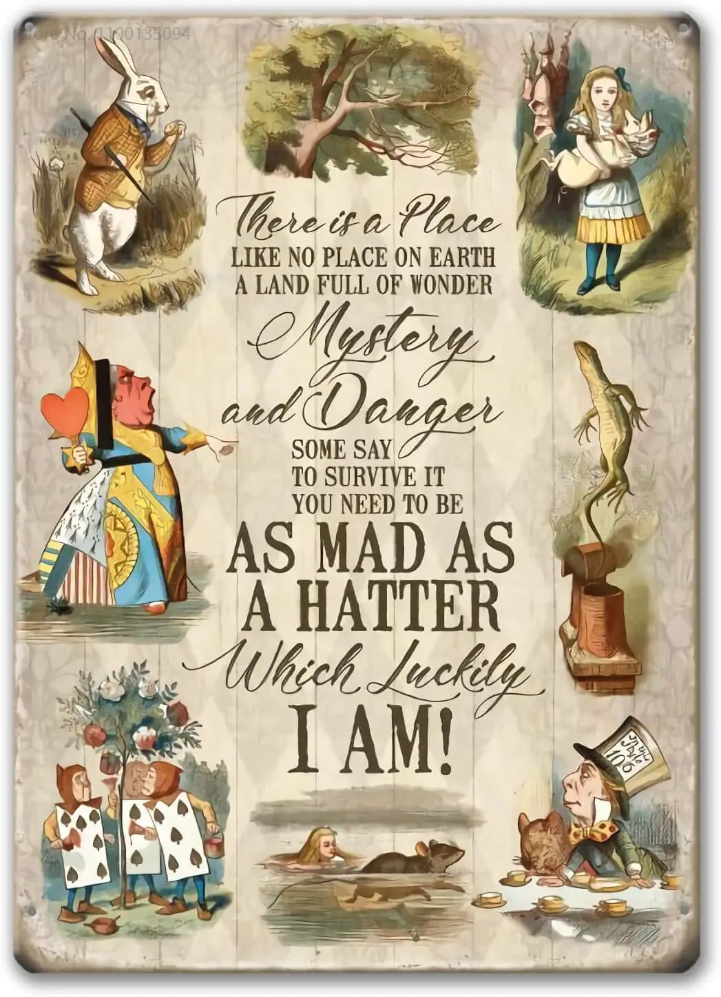 

Agedsign Alice in Wonderland Poster, Vintage Metal Tin Sign There is a Place Quotes Decor Gifts for Girls Living Room Party