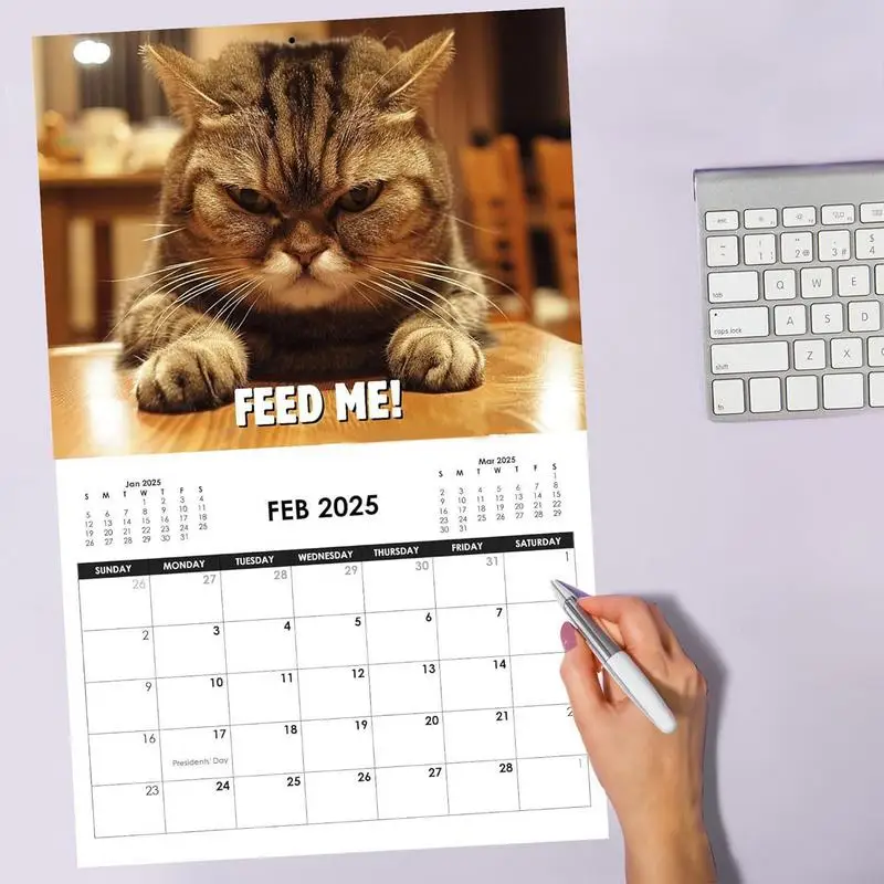 Кошачий календарь 2025 Angry Kitten декор календаря для дома веселый