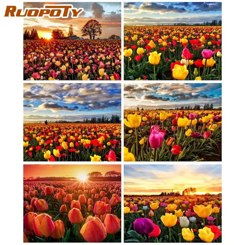 

RUOPOTY Picture By Number Flowers Kits For Adults Handpainted DIY Paint By Number Landscape On Canvas Home Decoration