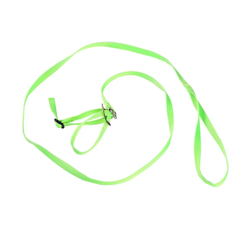 Регулируемый Тренировочный Поводок Для Рептилий Черепах Ящериц Мягкий На