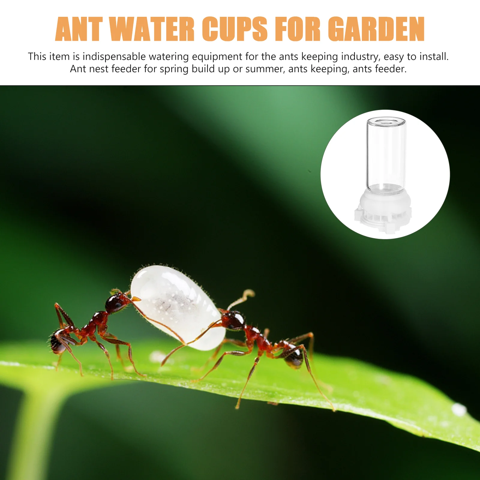 2 шт. акриловая муравьиная подача воды диспенсер для полива поилка гнездо чашки