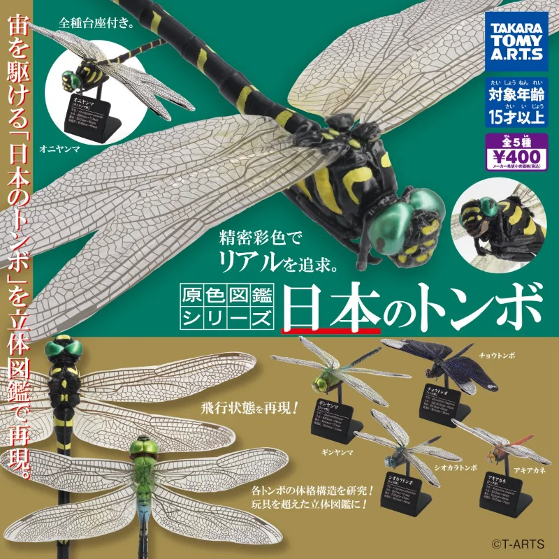 

Original TOMY Gashapon 1/1 Dragonfly Kawaii Assembly Insect Anime Action Figures Primary Color Guide Gachapon Ornaments Gifts