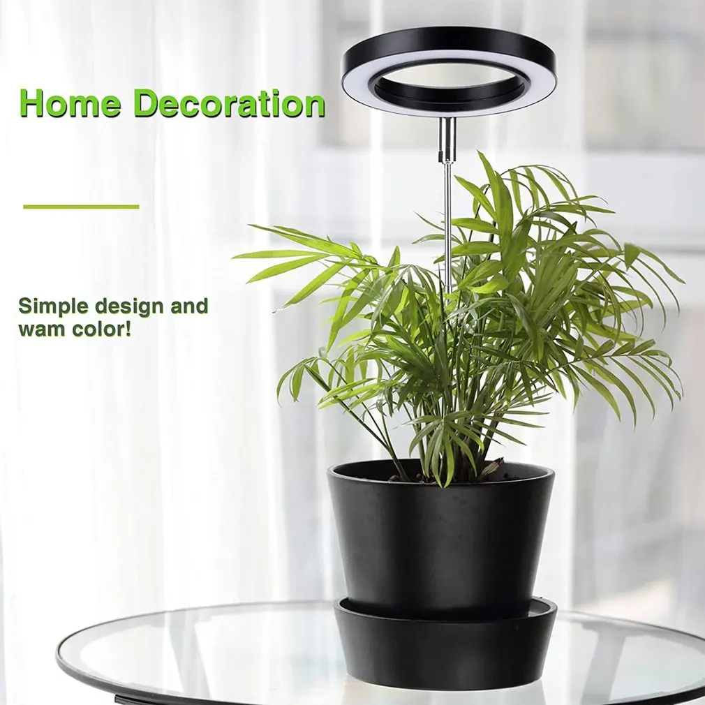 Stable Full Spectrum Automatic Timer Height Adjustable Growing Lamp Led Plant Light Halo For Indoor Plant
