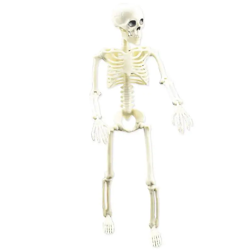 

Искусственный человеческий скелет на Хэллоуин, 16 дюймов, призрак, фестиваль, подвижное украшение черепа, искусственный Скелет на Хэллоуин