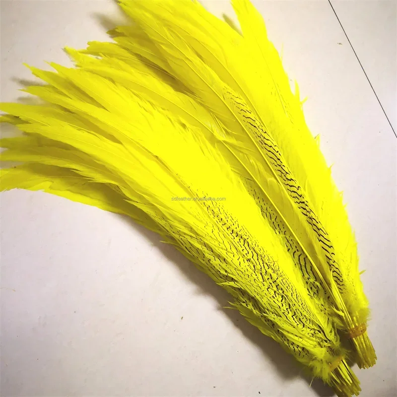 

Beautiful Silver Chicken Feathers Yellow 40-80 Cm /16-32 Inches Lady Amherst Pheasant Feather Stage Performance Decoration Plume