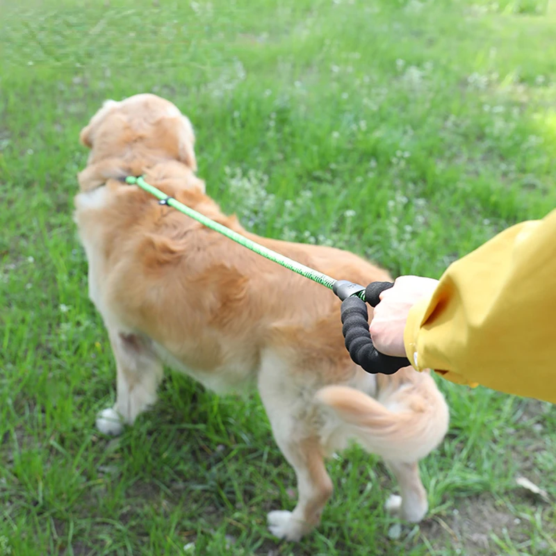 

Поводок для собак, P-цепь, цепочка для собак маленького и среднего размера, крупная свинцовая веревка для собак, золотистый ретривер, товары ...
