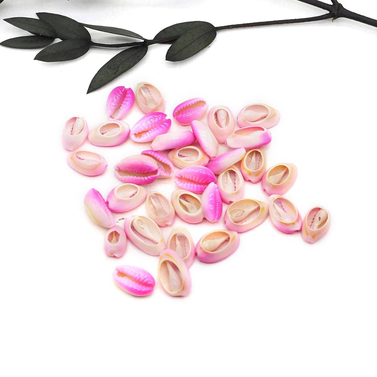 

10Pcs Shell Beads Pendant Natural Freshwater The Mother Of Pearl Plated Colored Cutting Conch For DIY Home Jewelry Accessory