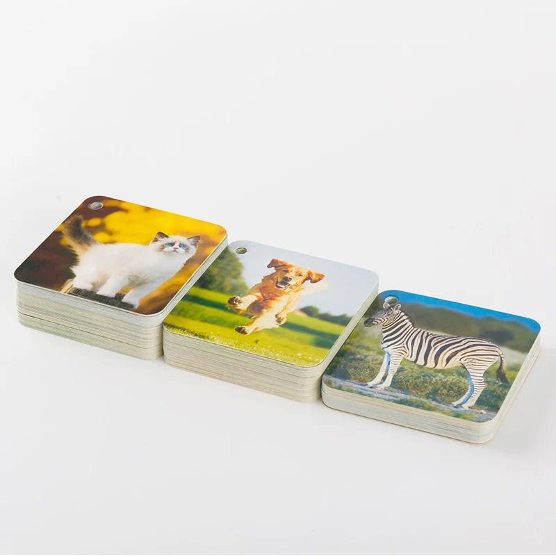 

108pcs Animal Flash Cards For Kids Toddlers Chinese English Learning Games Education Words Photo cards Preschool Kindergarten