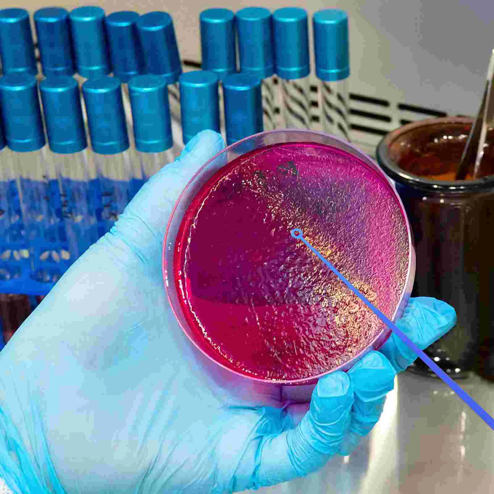 Инструмент для микробиологии инструмент