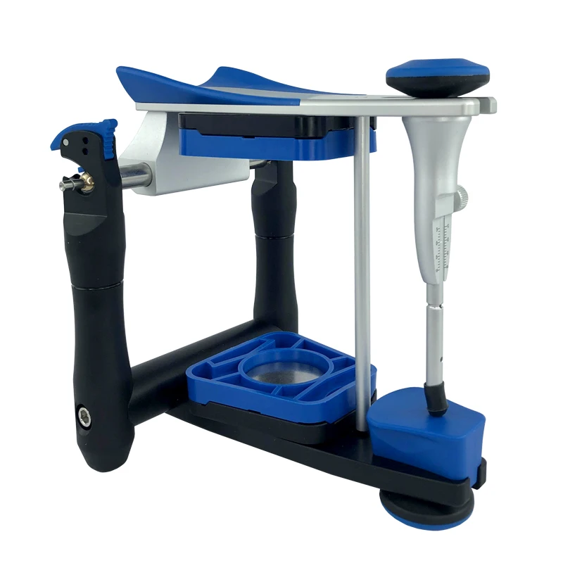 Стоматологическая модель зубов Artex BN |