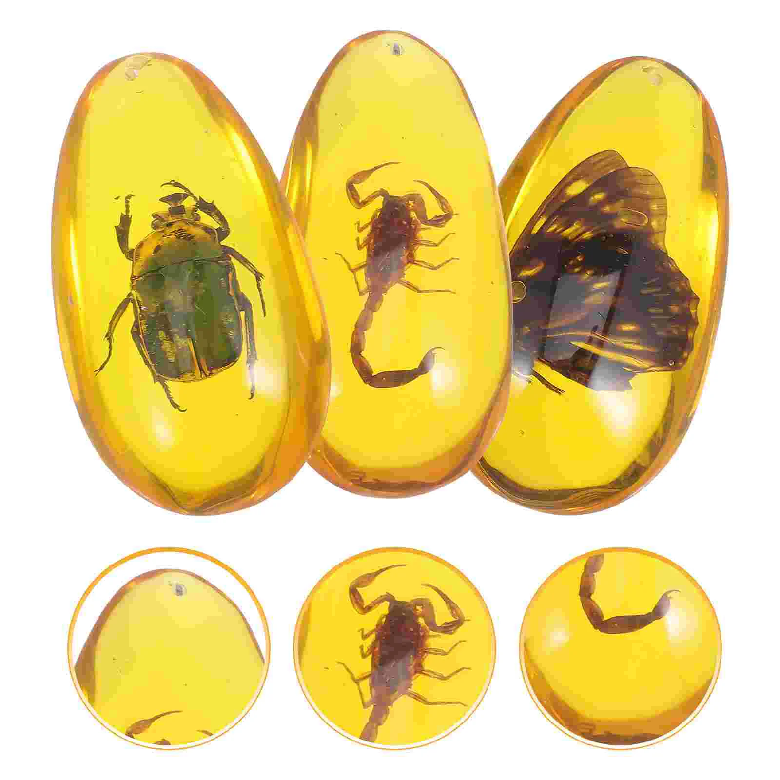 

3Pcs Resin Insects Amber Resin Crafts Insect Specimen Amber Decorative Bug Amber Kids Cognitive Toy