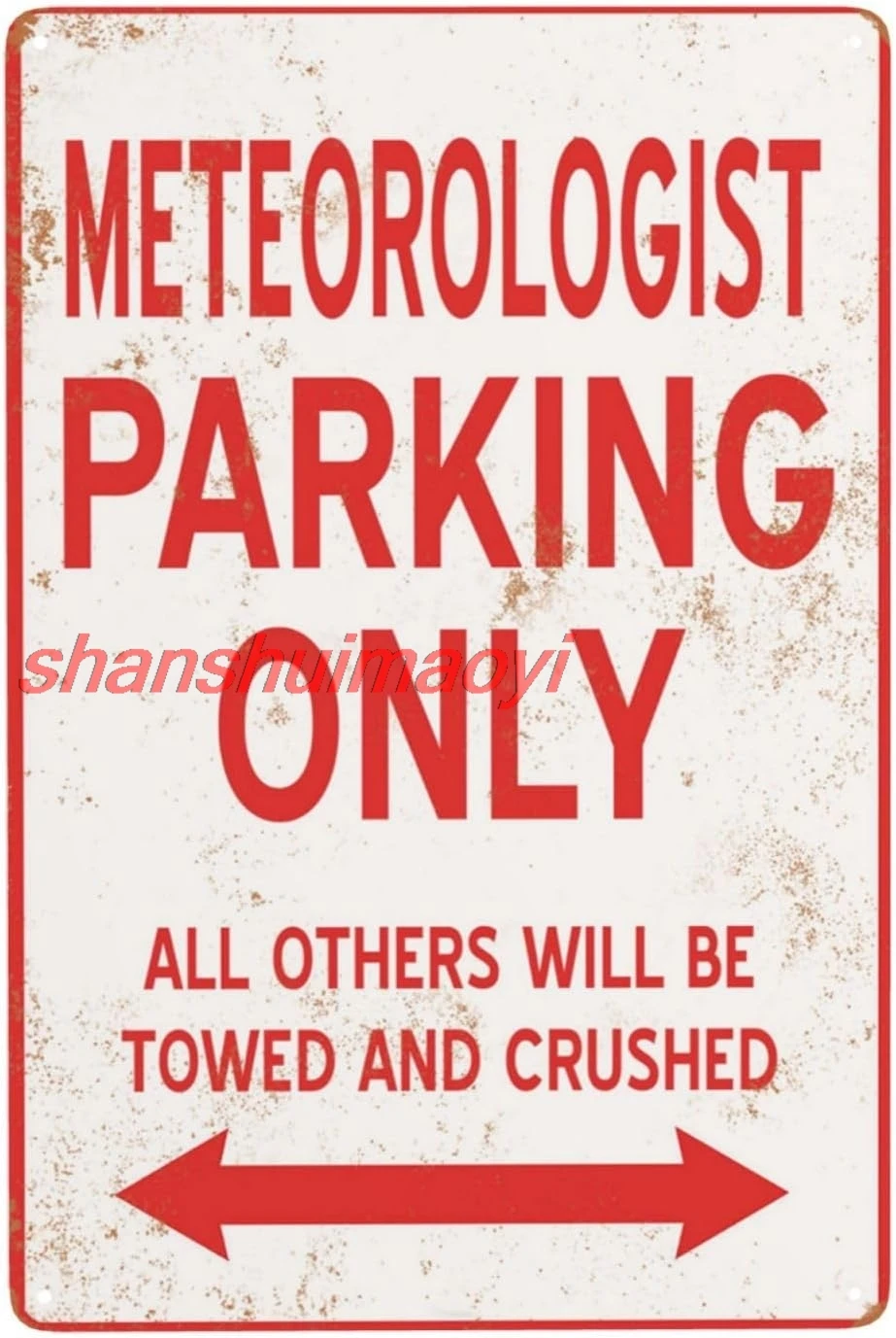 Жестяные знаки для парковки Chic Vintage Streets