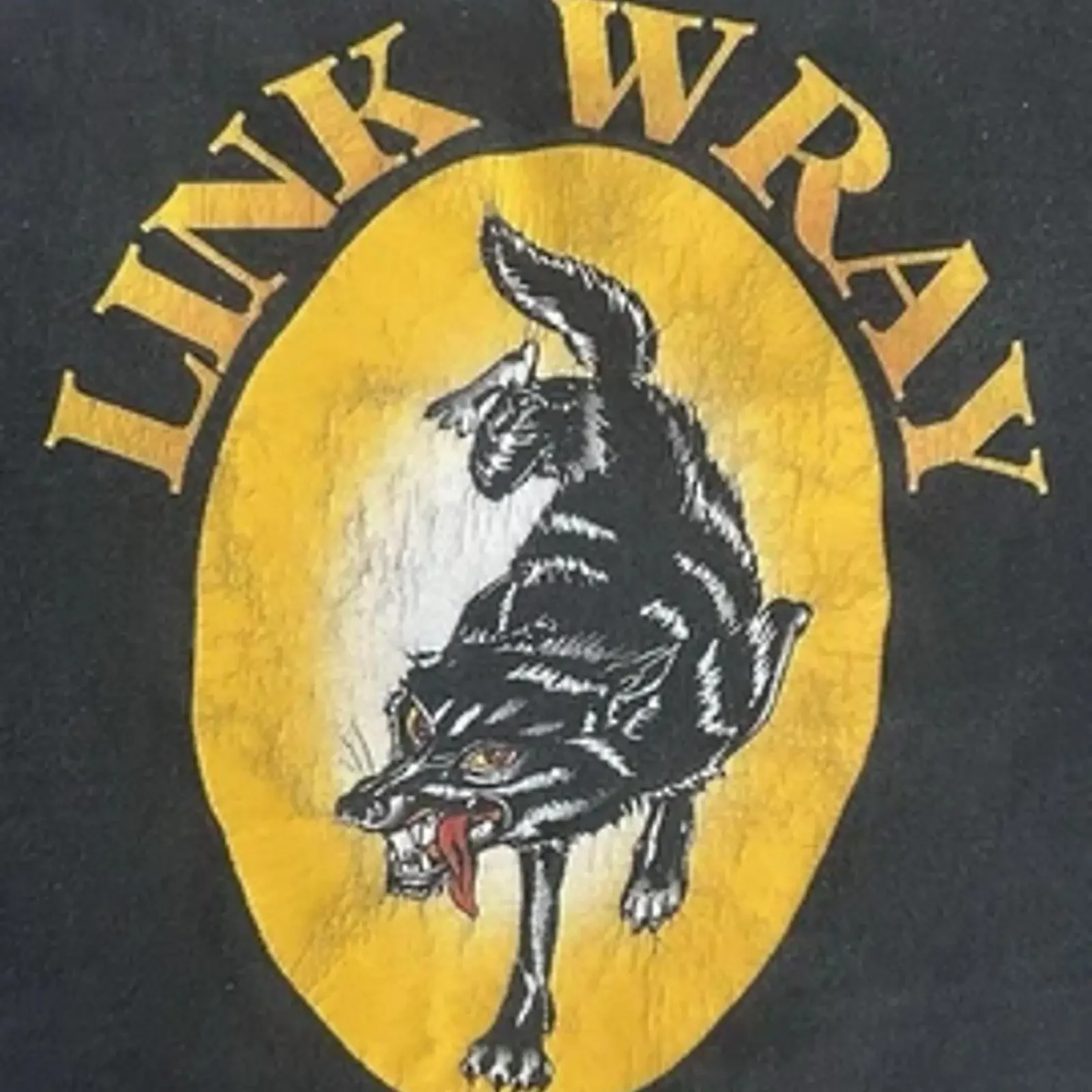 Фото Футболка Rare Link Wray, винтажная, черная, хлопковая, все размеры S-345XL, для фанатов, NI1915, винтажная, с эффектом потертости, дышащая, уличная одежда, универсальная. №1