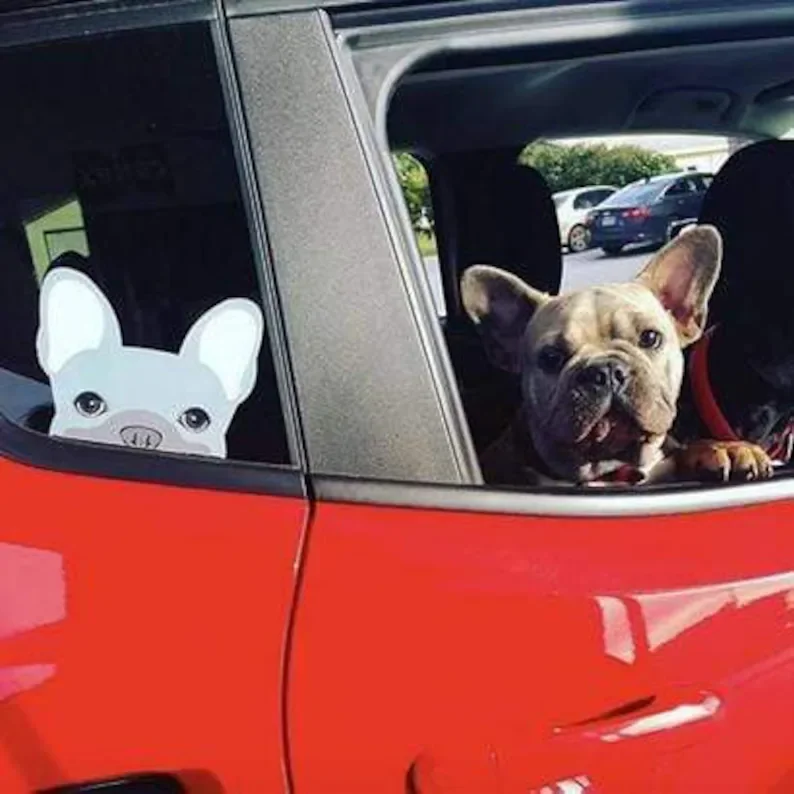 

Frenchie Sticker Frenchiestore Blue French Bulldog Car Decal