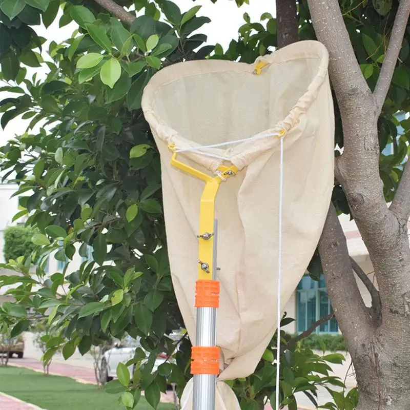 

Ловушка для пчел Net инструменты для пчеловодства, сетка для медового фильтра, сетка для подачи меда, клетка для пчеловодства с запираемой основой, детские инструменты