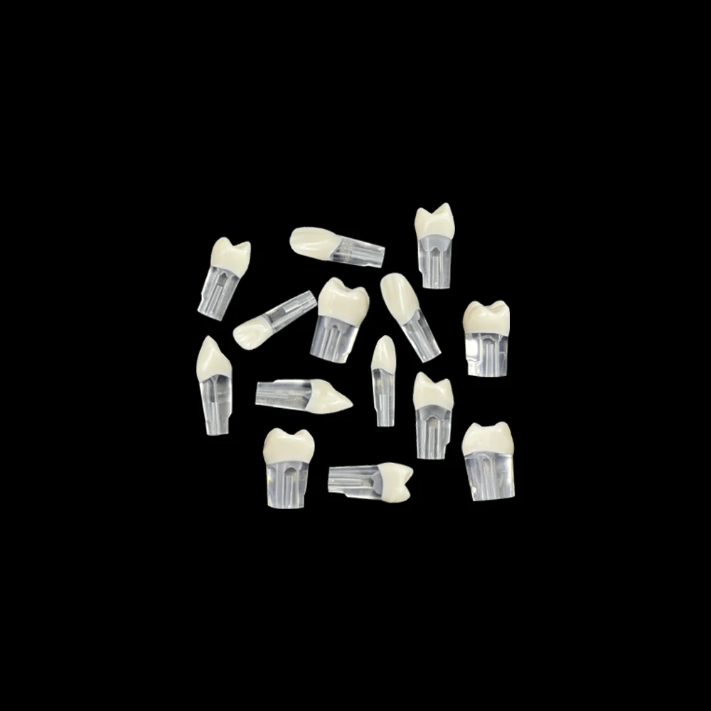 28 шт./набор эндододонтические зубы