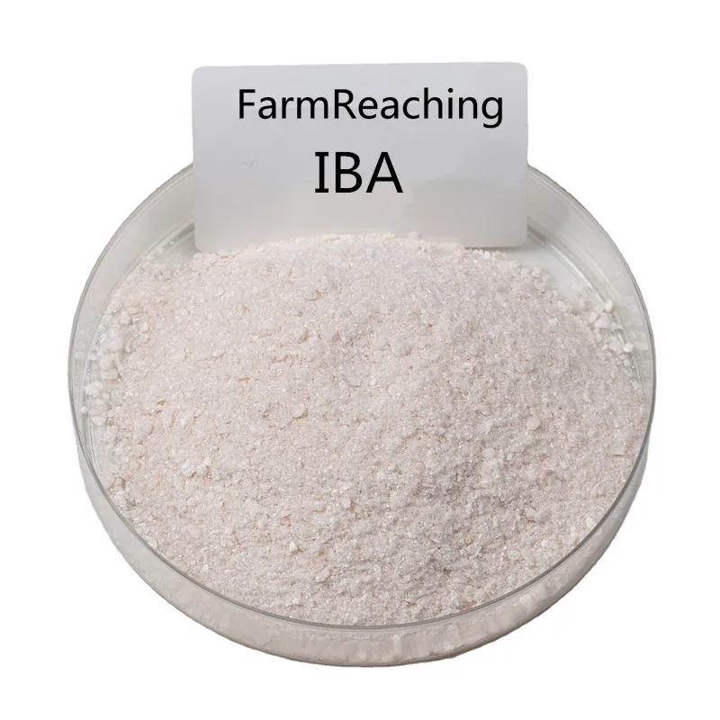 Фото FarmReaching Высококачественная индолил-3-масляная кислота (ИБА) №1