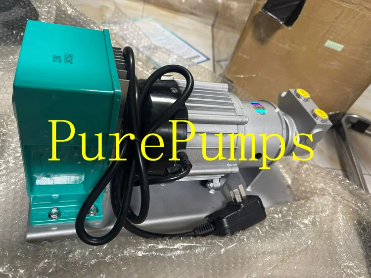 Бесщеточный двигатель EX Портативный 220 В 50 Гц Автомобильный насос для заправки