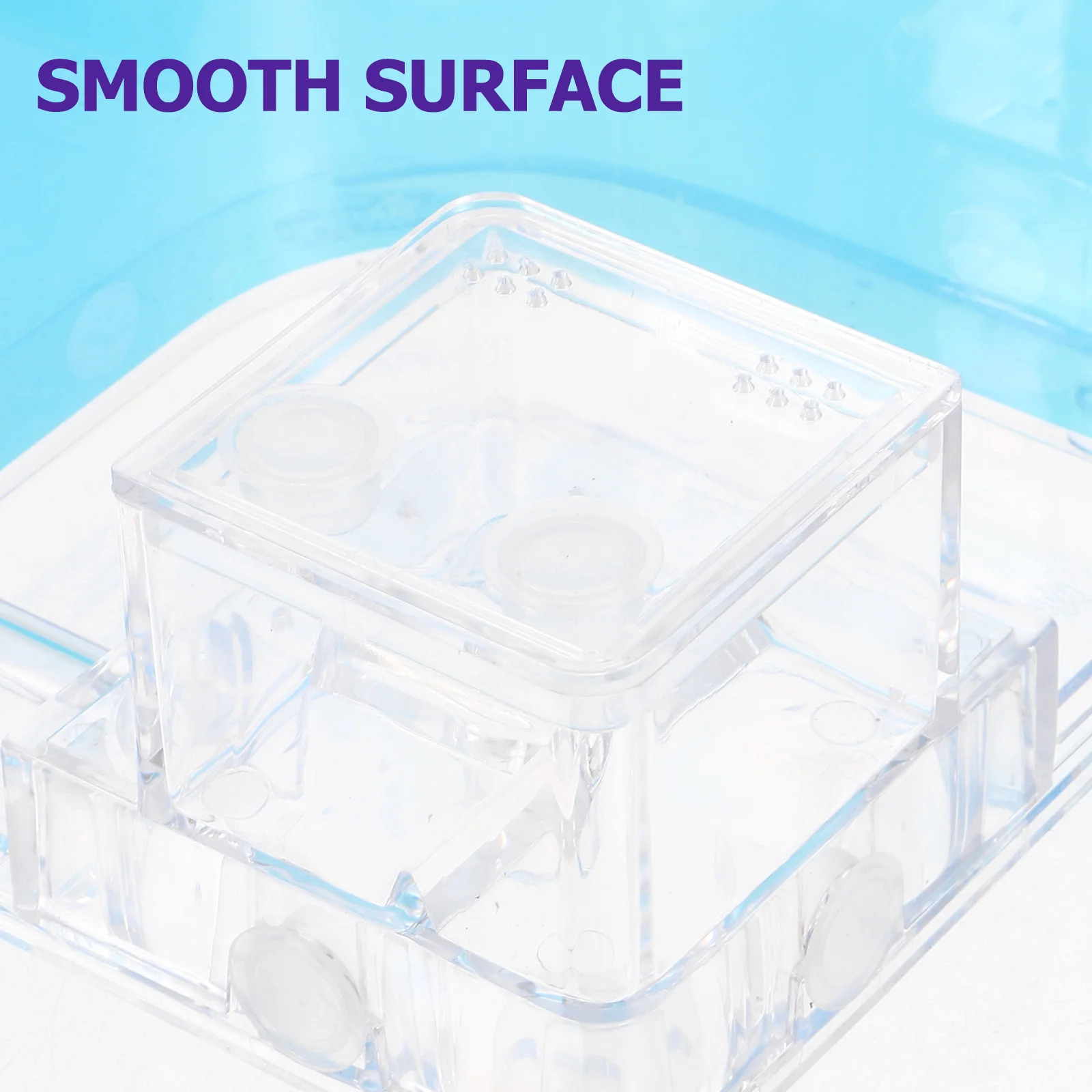 Игрушка Замок муравьи Муравьи Формикум Экологическое гнездо Домашнее животное