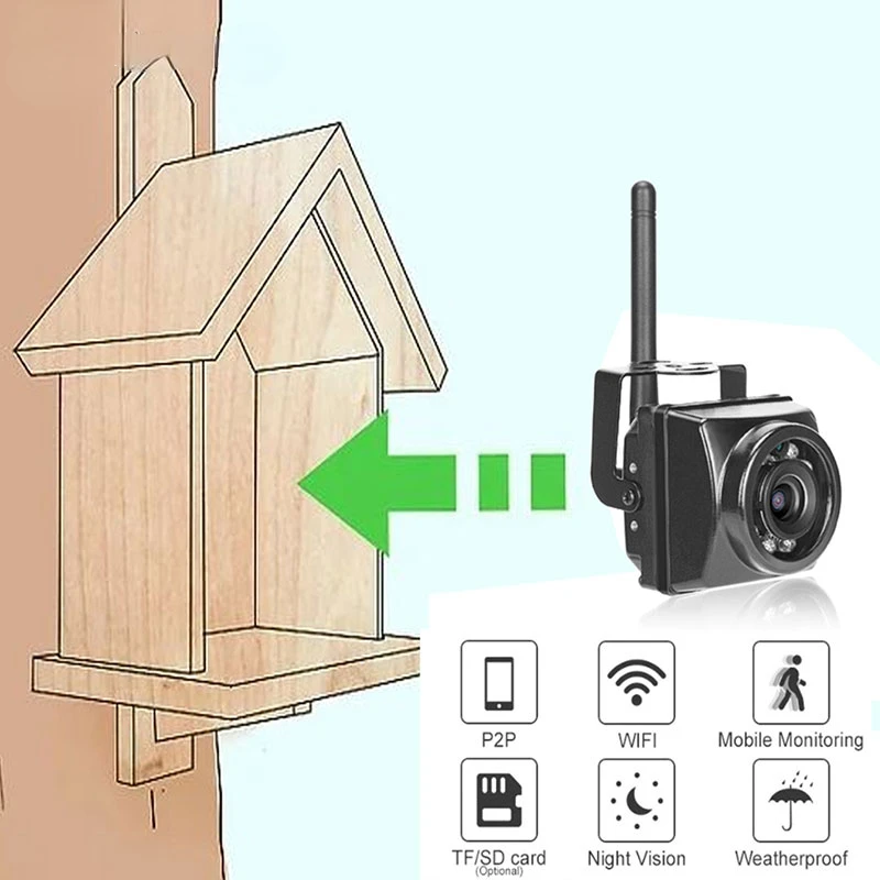 

Mini IR Camera Motion Detection Night Vision Wifi Outdoor Cctv Onvif P2p Wireless HD Cam In Bird'S Nest And Cage House