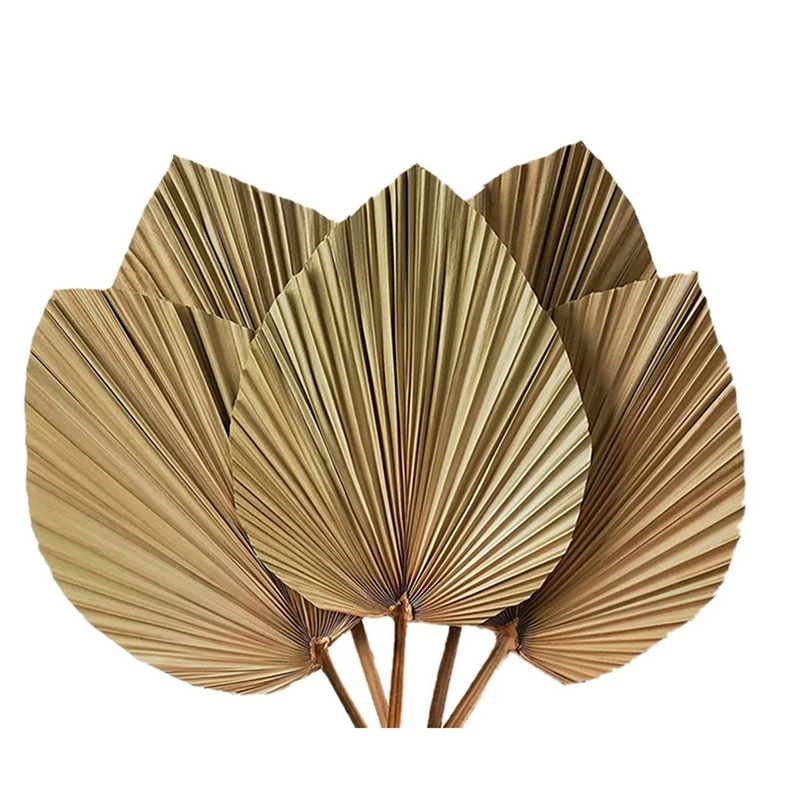 

Dried Palm Leaves Room Decor 10 Pieces - 18Inch H X 10Inch W Large Natural Palm Leaf Decor For A Beautiful Boho Look