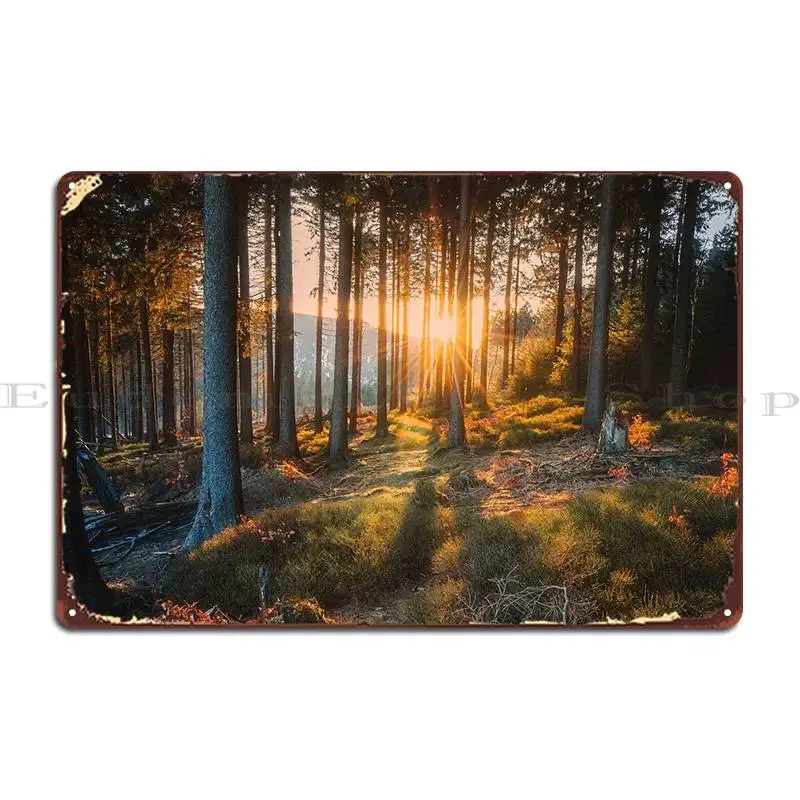 

Металлические знаки Harz Mountain, Настенный декор для гостиной, Настенная роспись, персонализированный клубный жестяной плакат