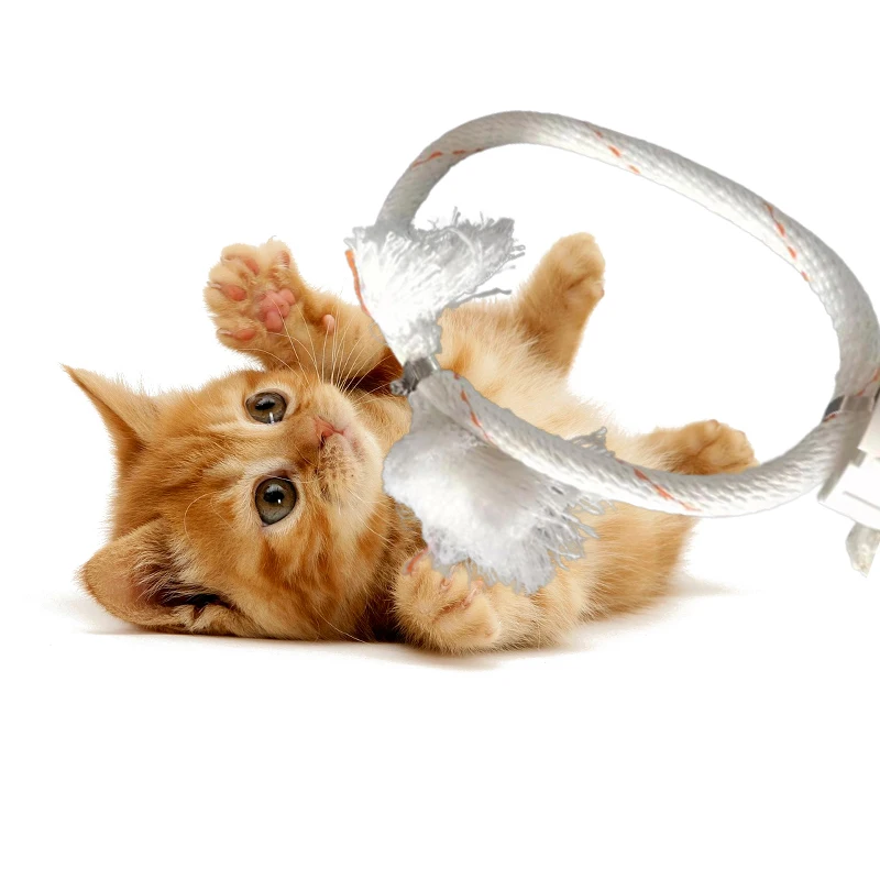 

Balcony Wall-mounted Cat Claw Climbing Tube Living Room Pet Scratch Outdoor Garden Portable Wear-resistant Scratcher Pet Toys