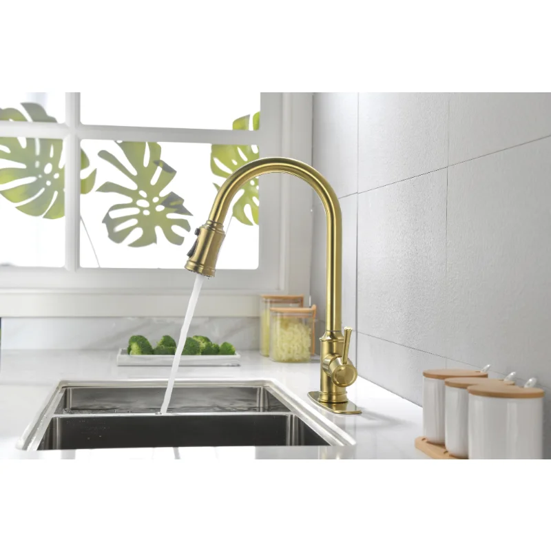 

Single Handle High Arc Pull Out Kitchen Faucet Single-layer Stainless Steel Kitchen Sink Faucets with Pull Down Sprayer