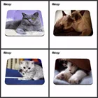 Коврик для мыши, белый кошка, кошка, кошка