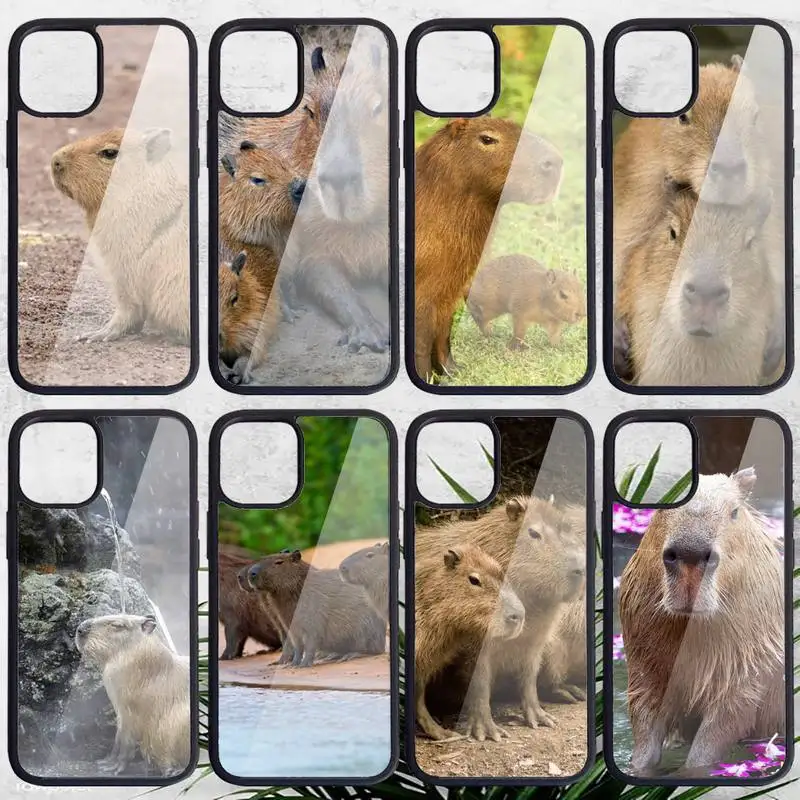 

Capybara animal pattern Phone Case PC for iPhone 11 12 13 pro XS MAX 8 7 6 6S Plus X XR Luxury shell funda