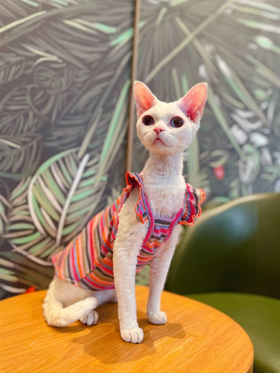 

Сфинкс летняя хлопковая дышащая слинг Devon Rex Siamese pet Сфинкс Одежда для кошек наряды для котят наряды для кошек безволосовая Одежда для кошек